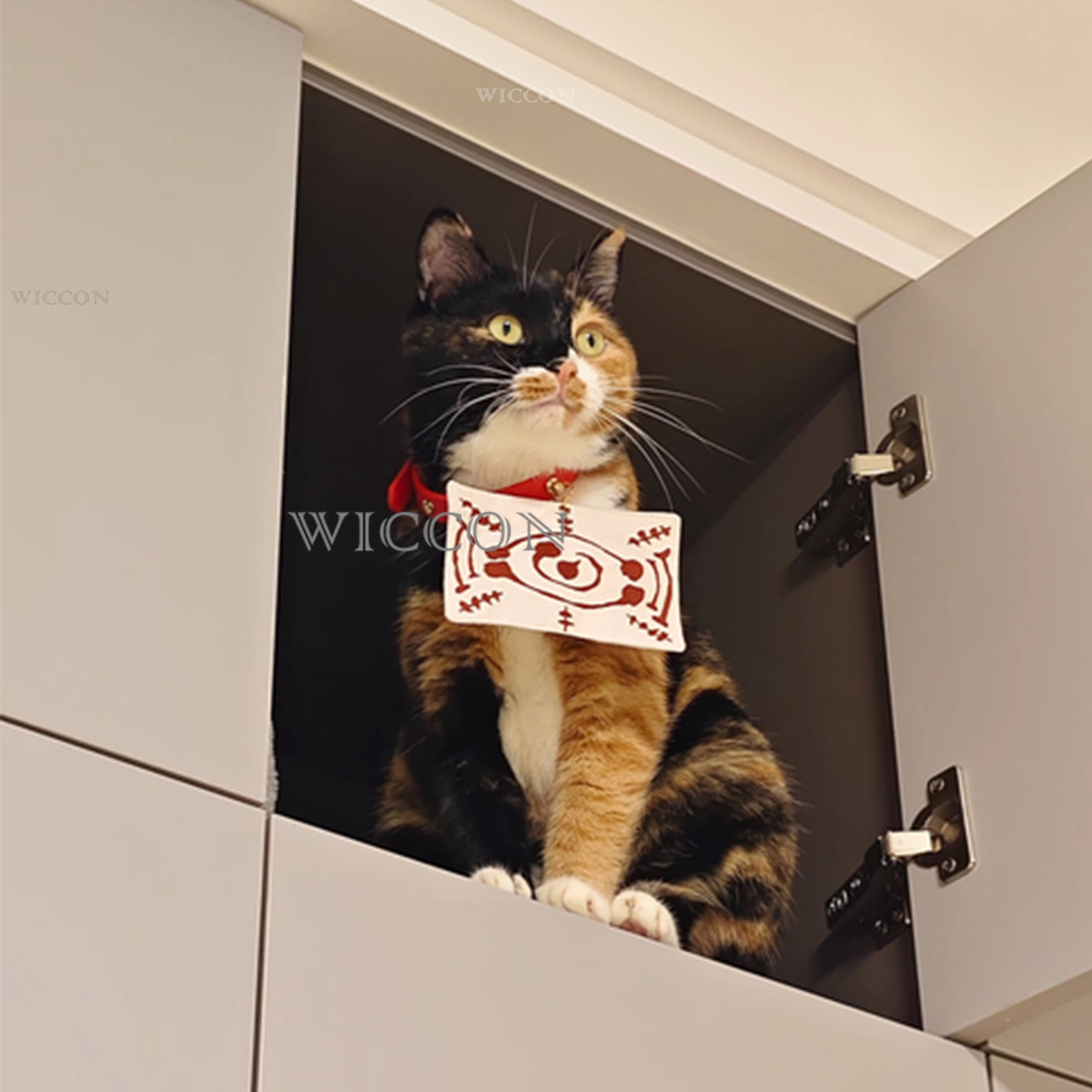 チャチャマル猫タマヨスペットコスプレ装飾かわいい猫コスプレ三 - Cosplay Anime Jjk のレビューと価格